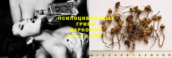 PSILOCYBIN Заволжск