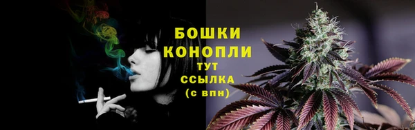 PSILOCYBIN Заволжск