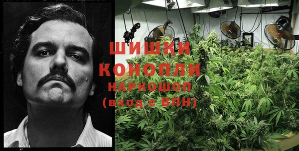 PSILOCYBIN Заволжск