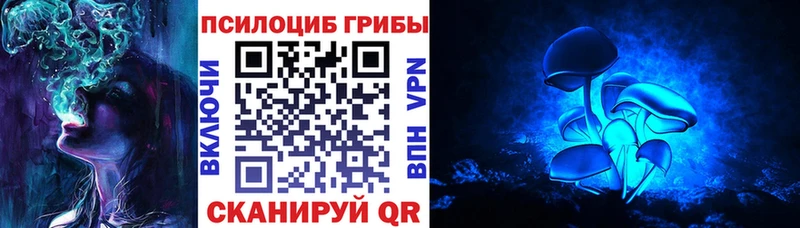Галлюциногенные грибы мицелий  Тавда 