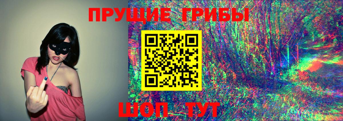 Тавда  Псилоцибиновые грибы ЛСД  хочу наркоту  Галлюциногенные грибы прущие грибы  Вход с VPN 